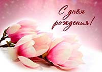 19 апреля  День рождения празднует Первый заместитель председателя совета ПРО ООО ВДПО Бабушкин Дмитрий Юрьевич
